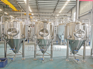 500L Microbrewery Fermenter